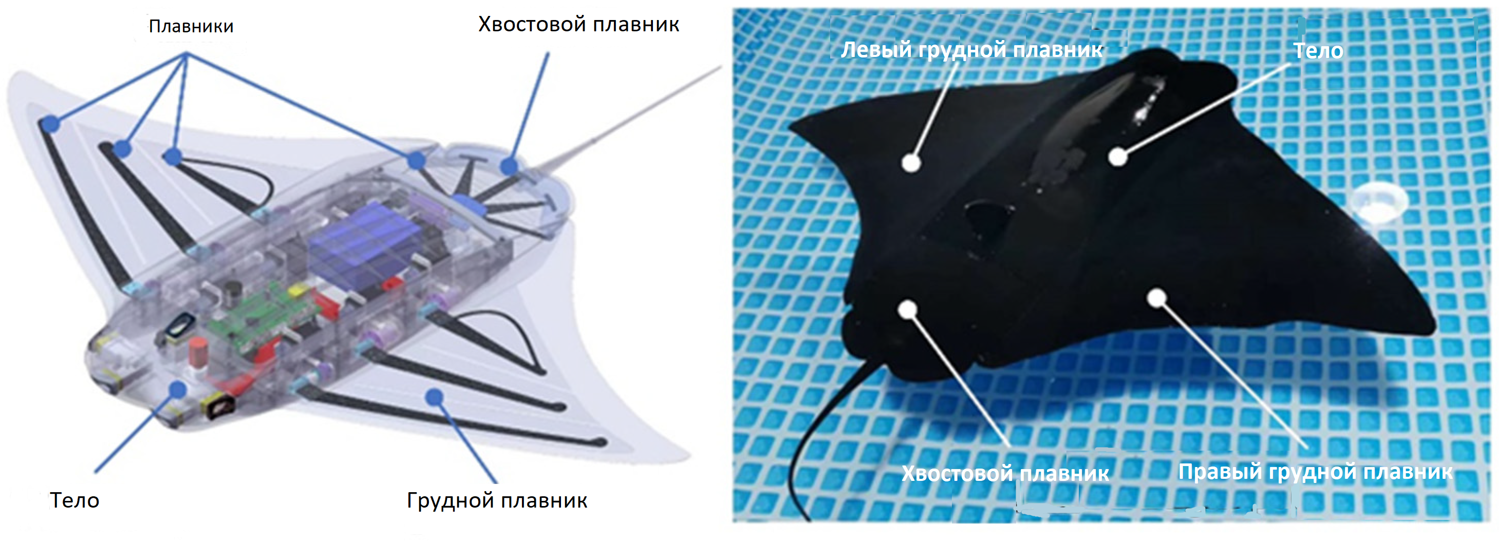 Модель робота Manta ray